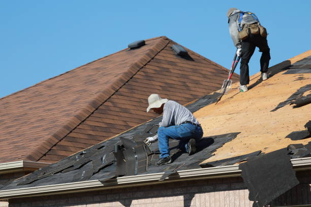 Best Roof Maintenance and Cleaning  in Middletown, MD